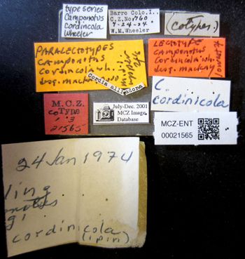 Media type: image;   Entomology 21565 Aspect: labels